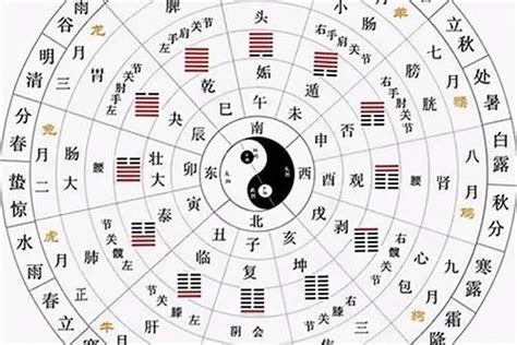 什么是天干地支|为啥天干有十个，地支有十二个？天干是怎么来的？古人的经验之。